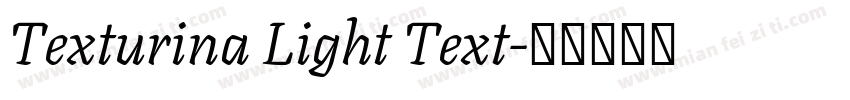 Texturina Light Text字体转换
